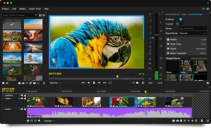 online video editor free online